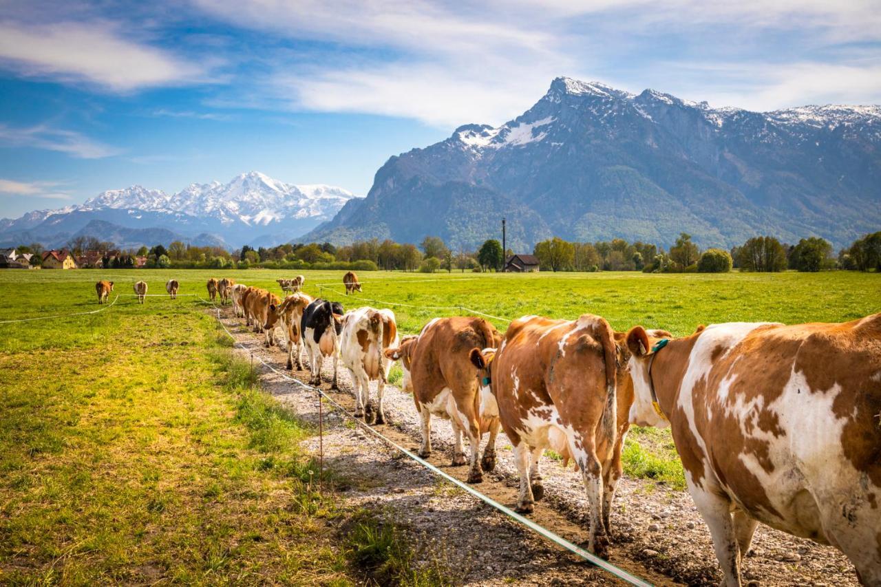 Ferienhaus Schlagerbauer Biohof Salzburg Ngoại thất bức ảnh