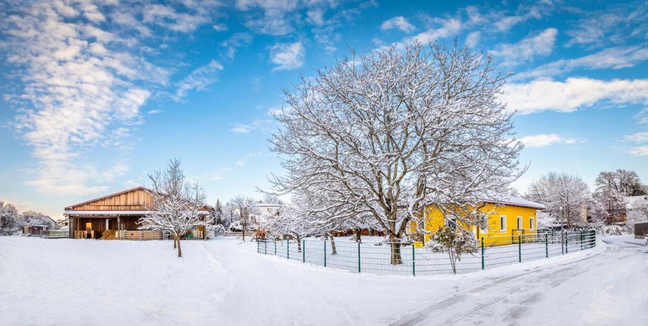 Ferienhaus Schlagerbauer Biohof Salzburg Ngoại thất bức ảnh